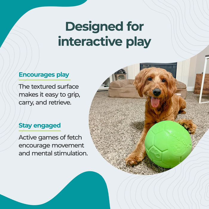 JOLLY PETS SOCCER BALL