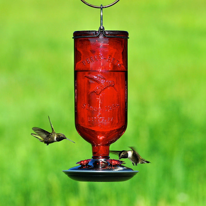 Perky-Pet 8109-2 Antique Glass Bottle Hummingbird Feeder-16-Ounce Capacity, Red