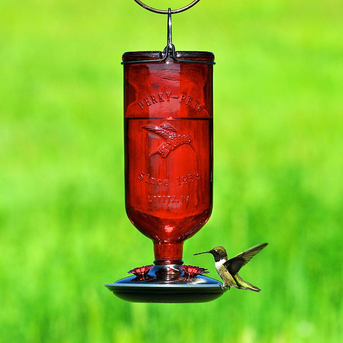 Perky-Pet 8109-2 Antique Glass Bottle Hummingbird Feeder-16-Ounce Capacity, Red
