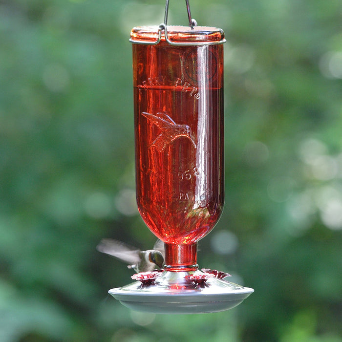 Perky-Pet 8109-2 Antique Glass Bottle Hummingbird Feeder-16-Ounce Capacity, Red