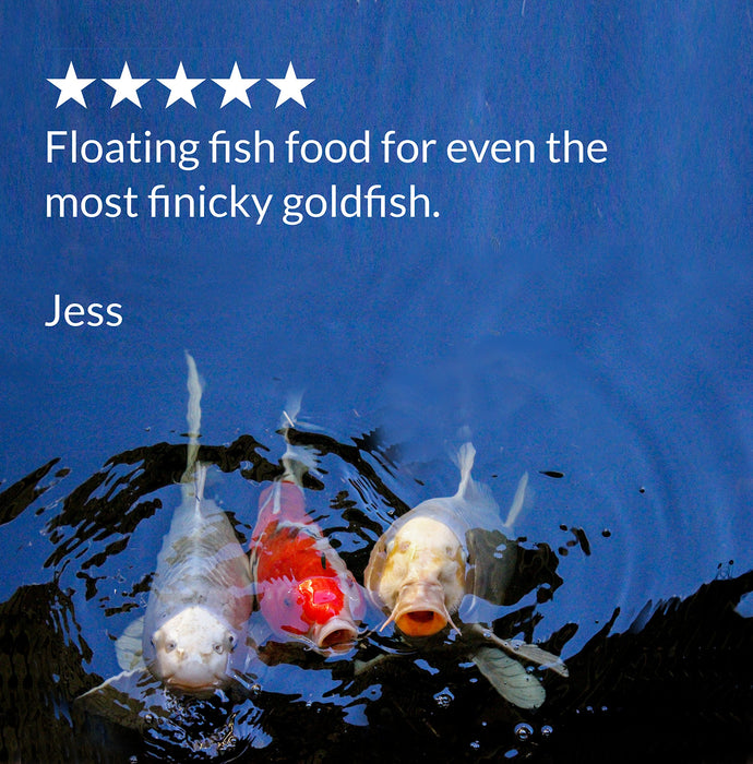 API POND FISH FOOD