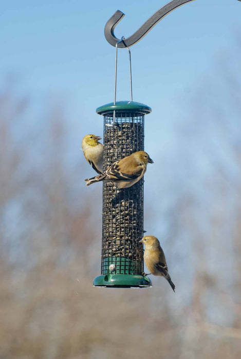 AUDUBON PEANUT & BLACK OIL SUNFLOWER SEED FEEDER