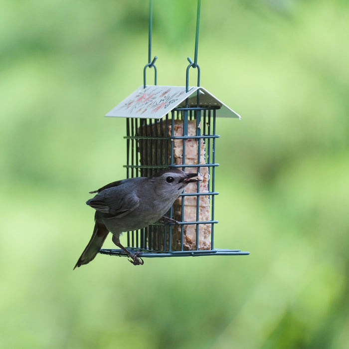 DECORATIVE METAL SUET CAGE BIRD FEEDER W/ROOF