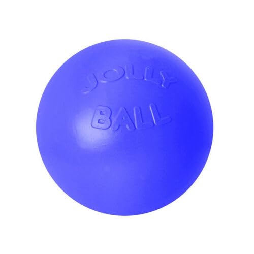 JOLLY PETS PUSH-N-PLAY BALL