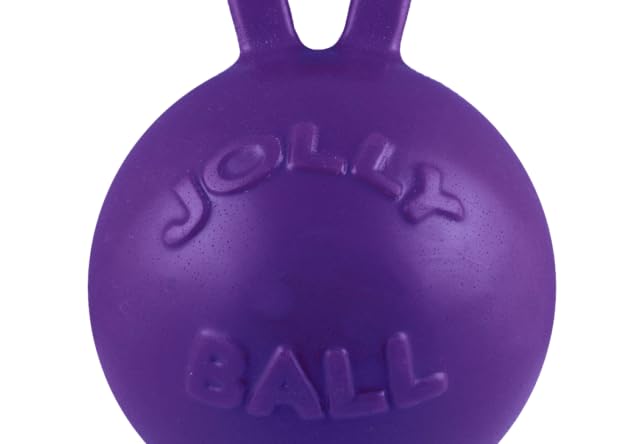 JOLLY PETS TUG-N-TOSS BALL
