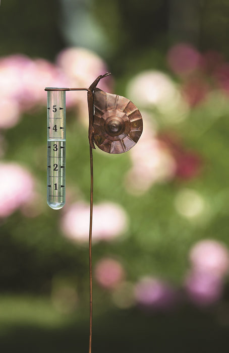 Snail Rain Gauge