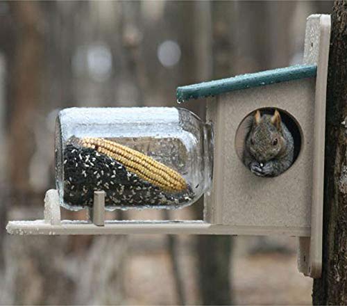 Birds Choice SNSQJAR Recycled Squirrel Jar Feeder, Squirrel Feeders, 7-1/4"L X 19"W X 15-3/4"H, Taupe w/ Green Roof