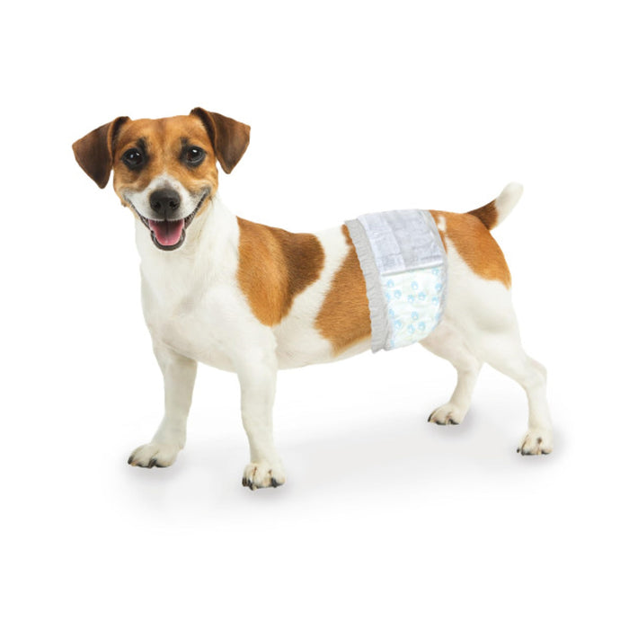 WEE-WEE DISPOSABLE MALE DOG WRAPS