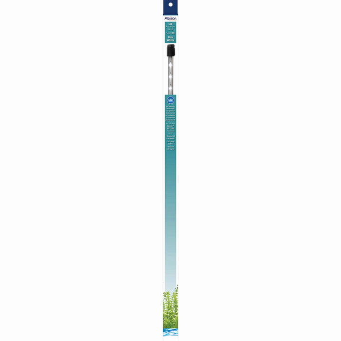 AQUEON DAY WHITE LED LAMP