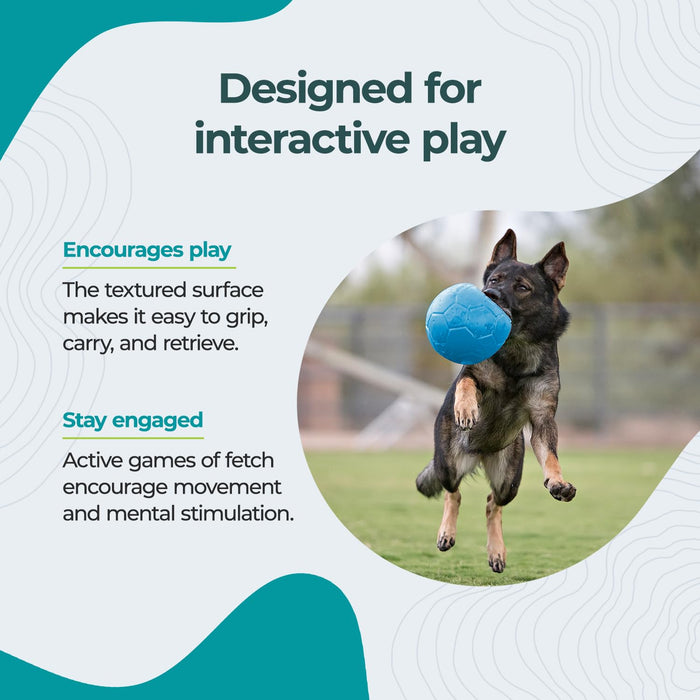 JOLLY PETS SOCCER BALL