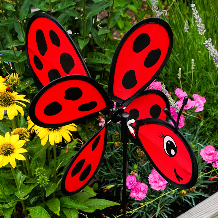 Lady Baby Bug Spinner