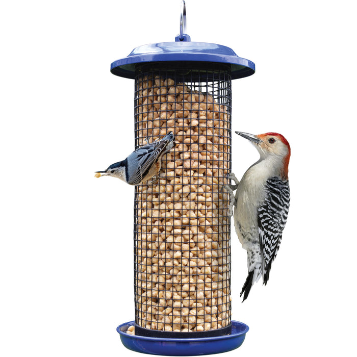COBALT METAL MESH MIXED SEED AND PEANUT FEEDER