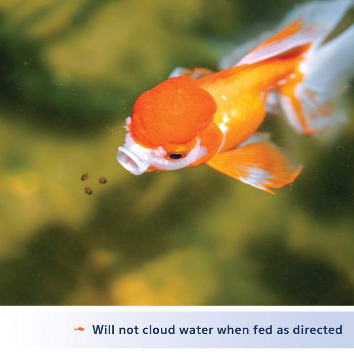 AQUEON COLOR ENHANCING GOLDFISH GRANULES