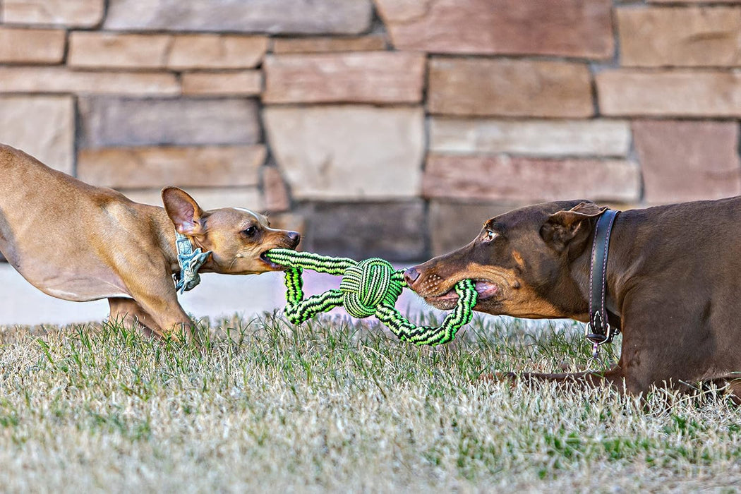 JOLLY PETS KNOT N CHEW GENTLE TUGGER