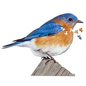 I AM BLUEBIRD Puzzle 300 pcs