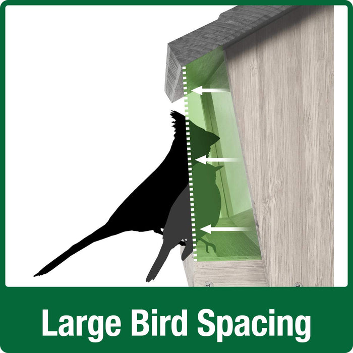 CEDAR HOPPER FEEDER W/SUET CAGES