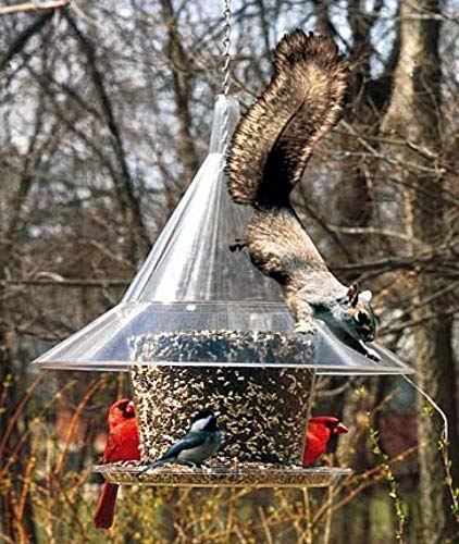 Arundale - The Sky Cafe Green Large Squirrel Proof Bird Feeder - Attractive Dome Style Hooper Feeder