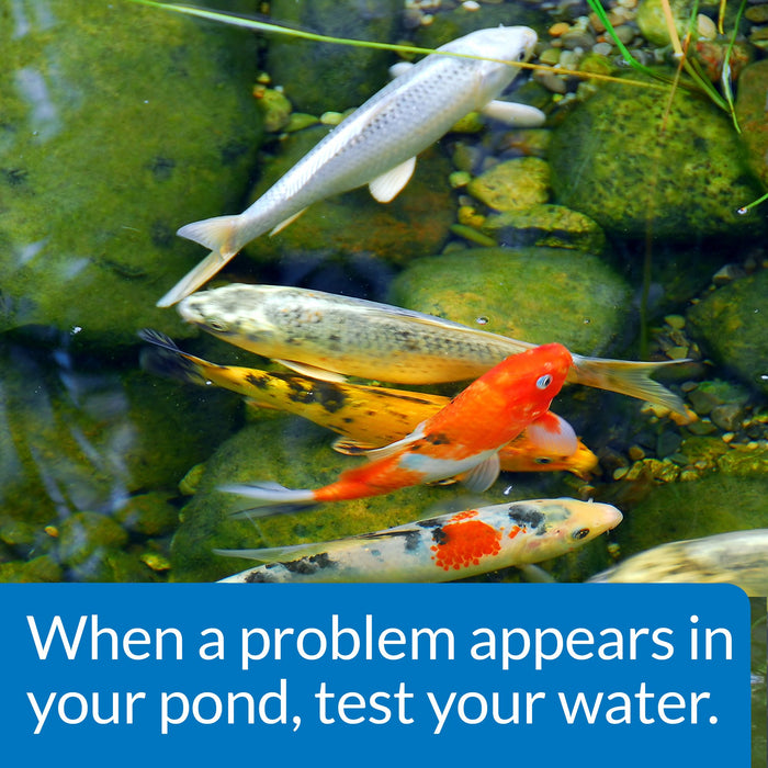 API POND MASTER LIQUID TEST KIT