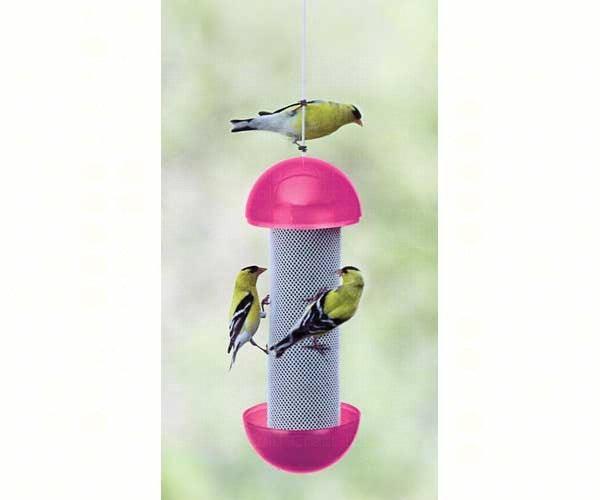 Have-A-Ball Finch Feeder