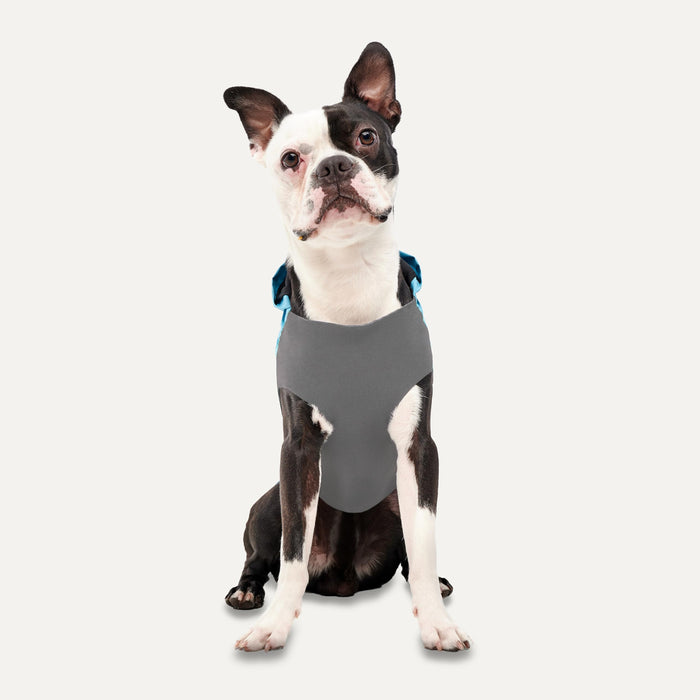 GOO-EEZ REFLECTIVE HOODED RAINCOAT