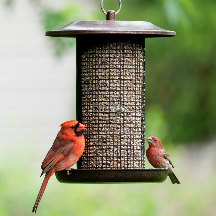 BELOVED BRONZE DUAL-CHAMBER METAL MESH BIRD FEEDER