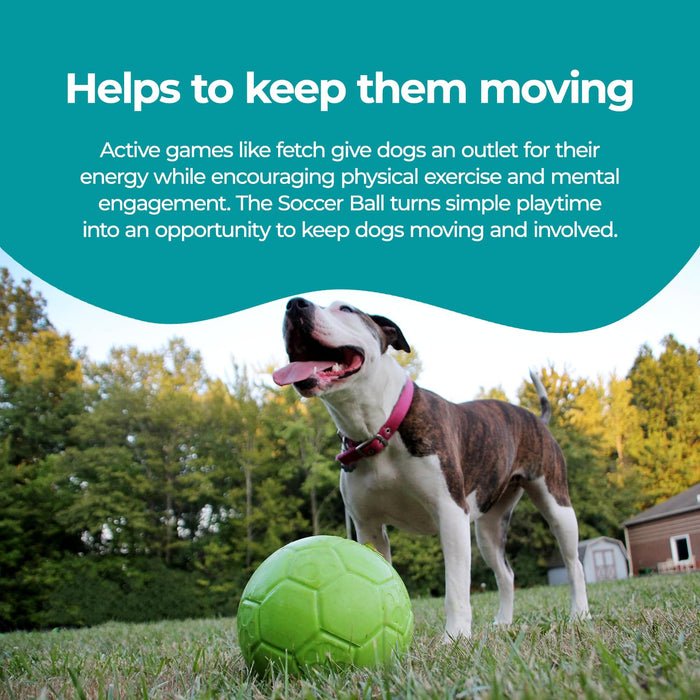 JOLLY PETS SOCCER BALL