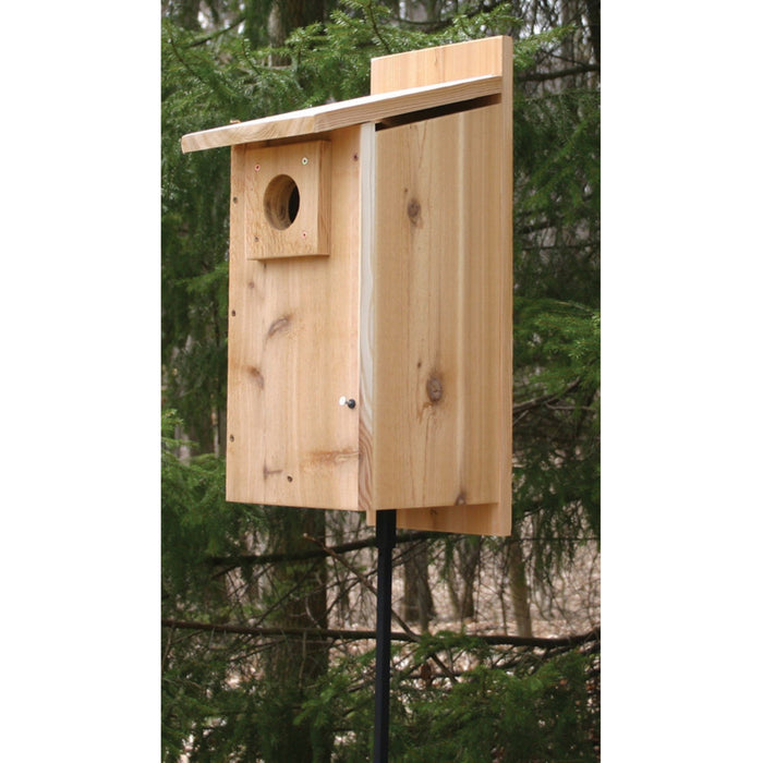Stovall Products Rustic Western BlueBird House