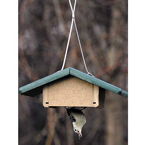 Birds Choice SNUD Recycled Cake Upside Down Suet Feeder, Seed Block Feeder, 1 Suet Cake, 7"L X 6-1/4"W X 4-1/4"H , Taupe w/ Green Roof