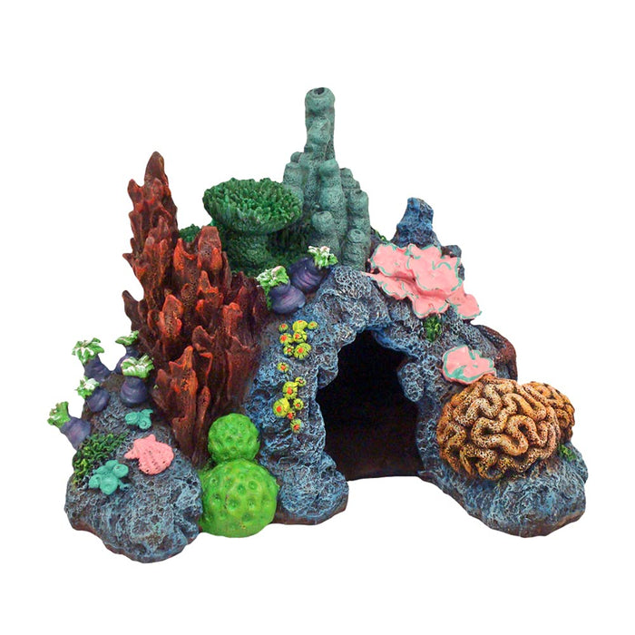 EXOTIC ENVIRONMENTS  CARIBBEAN LIVING REEF