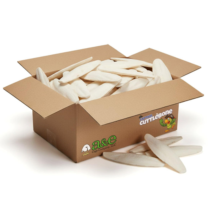 A&E CUTTLEBONE BULK