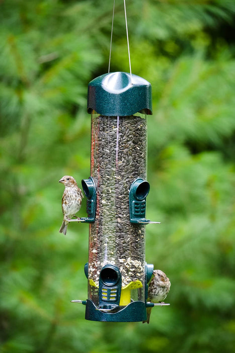 Brome Mega 600 Bird Feeder – Large Capacity Tube Feeder for Wild Birds, 6 Feeding Ports, 4 lb Seed Capacity, Easy to Clean, Metal Ports, Extendable Perches