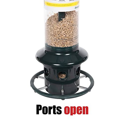 Brome Squirrel Buster Plus Squirrel-proof Bird Feeder w/Cardinal Ring and 6 Feeding Ports, 5.1-pound Seed Capacity, Adjustable, Pole-mountable (POLE ADAPTOR SOLD SEPARATELY), Green