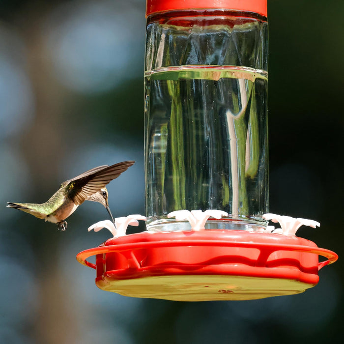 SCARLET SWIRL GLASS HUMMINGBIRD FEEDER