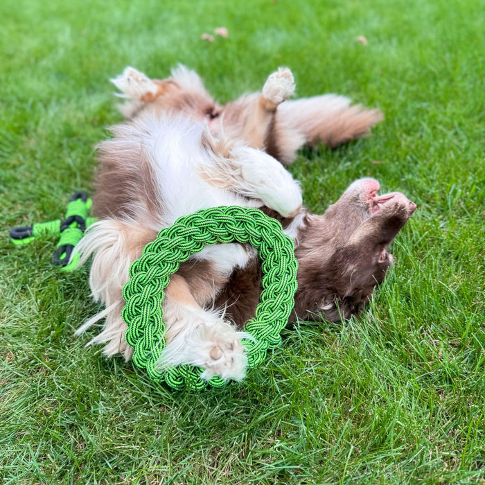 JOLLY PETS KNOT N CHEW TIK TAK TUGZZ O