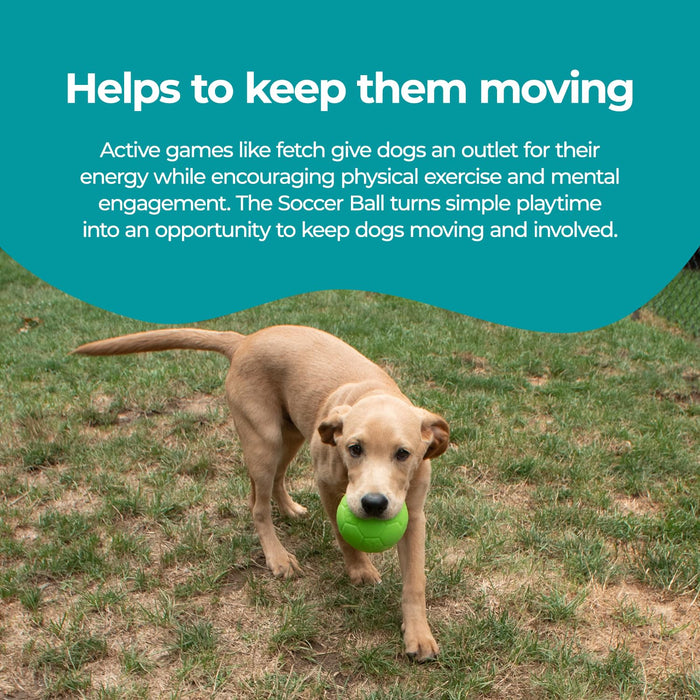JOLLY PETS SOCCER BALL