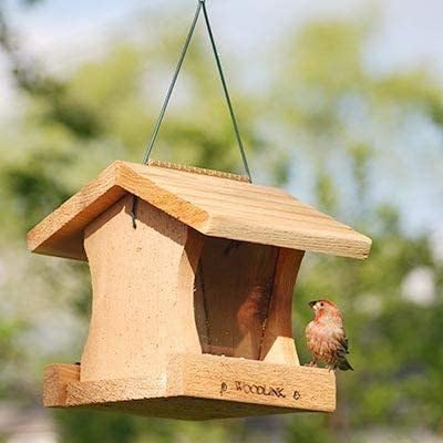AUDUBON DIY CRAFT KIT HOPPER FEEDER