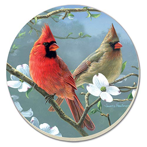 Beautiful Songbirds Cardinals Coasters Set of 4
