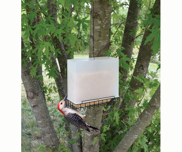 Suet Saver Feeder Large