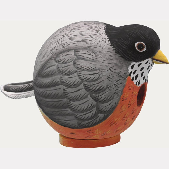 Bobbo from Songbird Essentials Robin Gord-O Bird House
