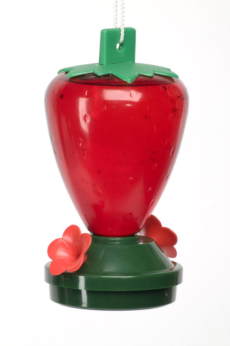 Strawberry Feeder 12 oz.