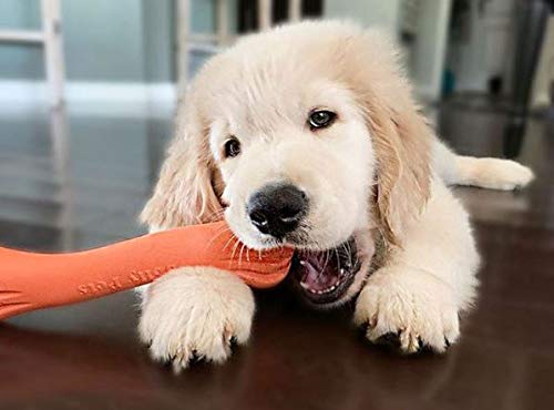 JOLLY PETS FLEX-N-CHEW BONE