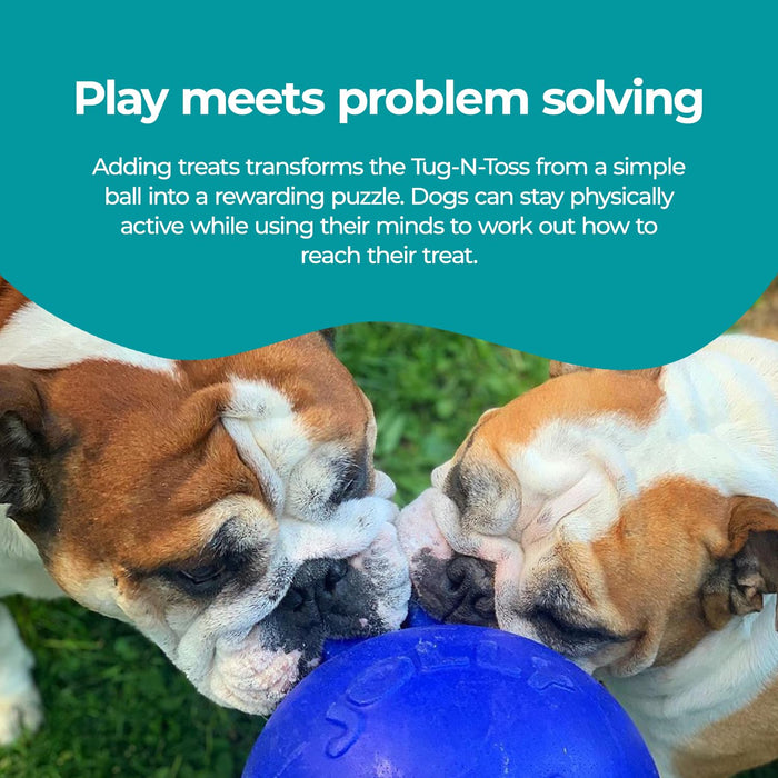 JOLLY PETS TUG-N-TOSS BALL