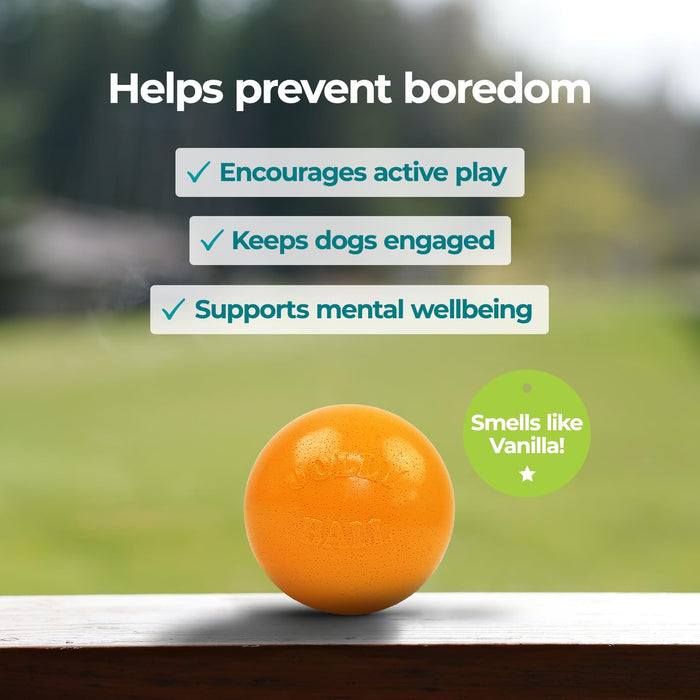 JOLLY PETS BOUNCE-N-PLAY BALL
