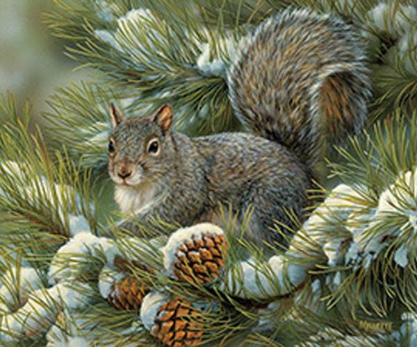 Cobble Hill Gray Squirrel 275 Piece Puzzle