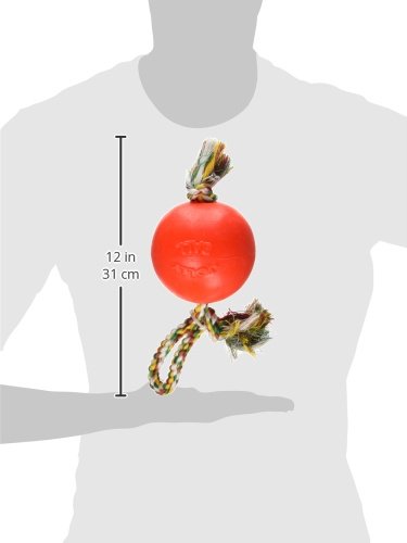 JOLLY PETS ROMP-N-ROLL BALL