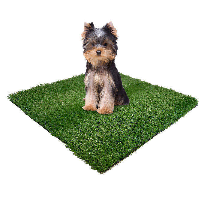 WEE-WEE PATCH REPLACEMENT GRASS