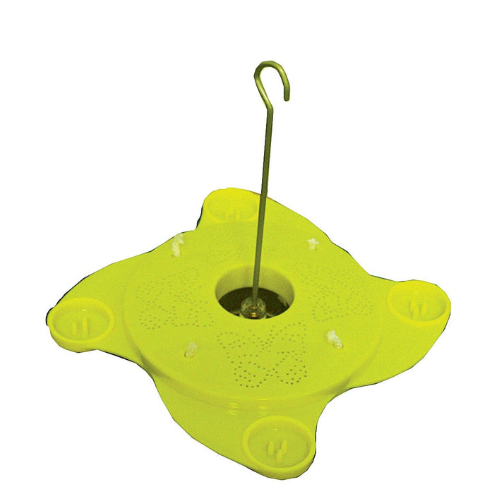 Audubon Classic Butterfly Feeder