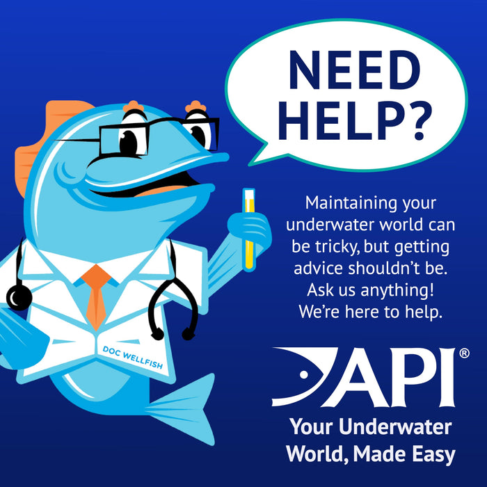 API POND ALGAEFIX