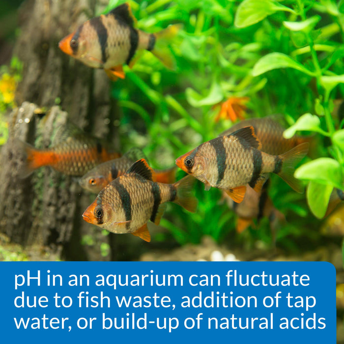 API PH TEST & ADJUSTER KIT FOR FRESHWATER