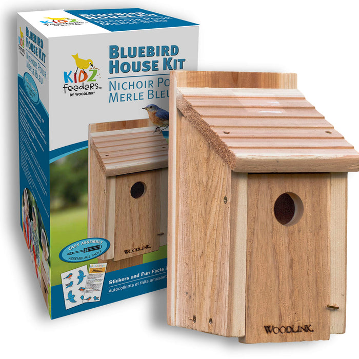 AUDUBON DIY CRAFT KIT BLUEBIRD HOUSE